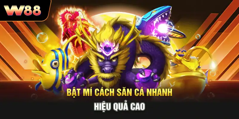 Bật mí cách săn cá nhanh, hiệu quả cao
