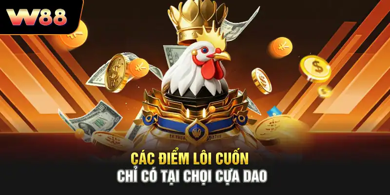 Các điểm lôi cuốn chỉ có tại chọi cựa dao