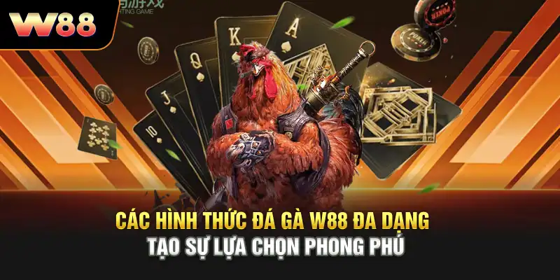 Các hình thức đá gà W88 đa dạng, tạo sự lựa chọn phong phú