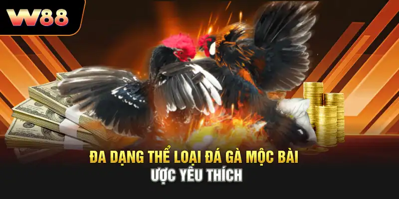 Đa dạng thể loại Đá Gà Mộc Bài được yêu thích