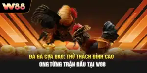 Đá Gà Cựa Dao: Thử Thách Đỉnh Cao Trong Từng Trận Đấu Tại W88