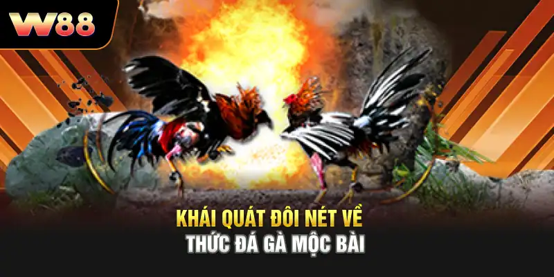 Khái quát đôi nét về hình thức Đá Gà Mộc Bài