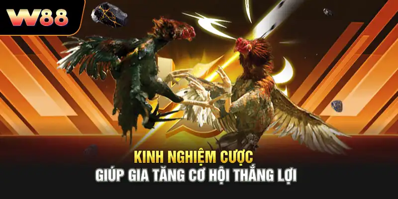 Kinh nghiệm cược giúp gia tăng cơ hội thắng lợi